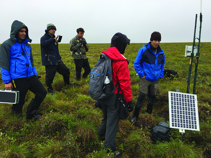 Members of the SoilSCAPE team inspect sensors at a field site in Happy Vally, Alaska. The spongy, uneven surface is known as thermokarst and made walking exceptionally difficult. (Credit: K. Hines, NASA)